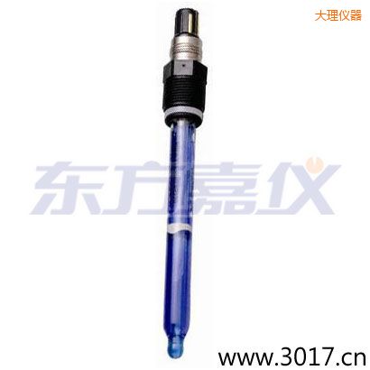 大理測(cè)純水,超純水 PH電極
