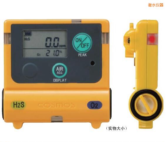 衡水復合型氣體檢測器