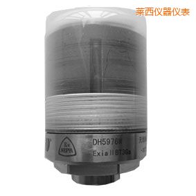 萊西無(wú)線軸承狀態(tài)監(jiān)測(cè)器