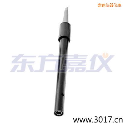 盤錦含有溫度的兩線電導率電極