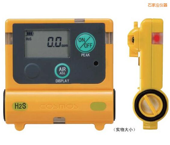 石家莊硫化氫計(jì)