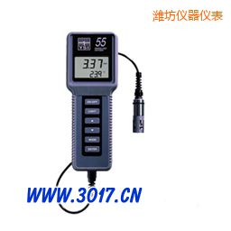 濰坊溶解氧、溫度測量儀
