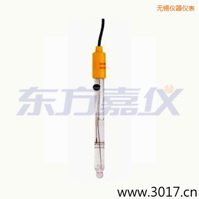 無(wú)錫可填充玻璃管電極