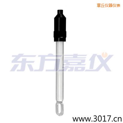 章丘玻璃外殼無(wú)溫補(bǔ)兩線電導(dǎo)率電極