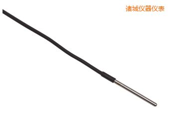 諸城Full Immersion PRT