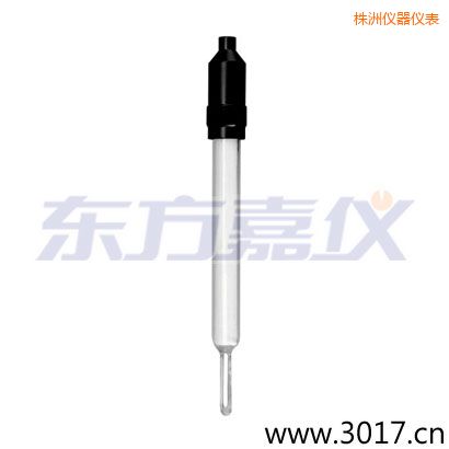 株洲玻璃外殼無溫補兩線電導率電極