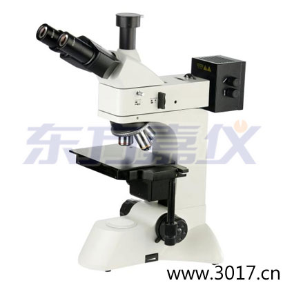 ���ý����@΢�R